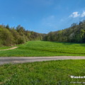 Waldwiesen am Grundbach