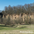 NSG Kallenberg Eschelbronn