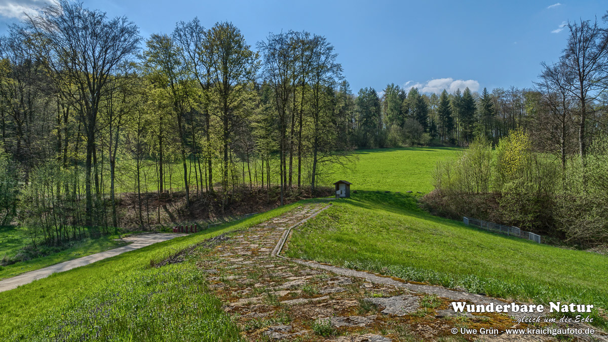 Waldwiesen am Grundbach